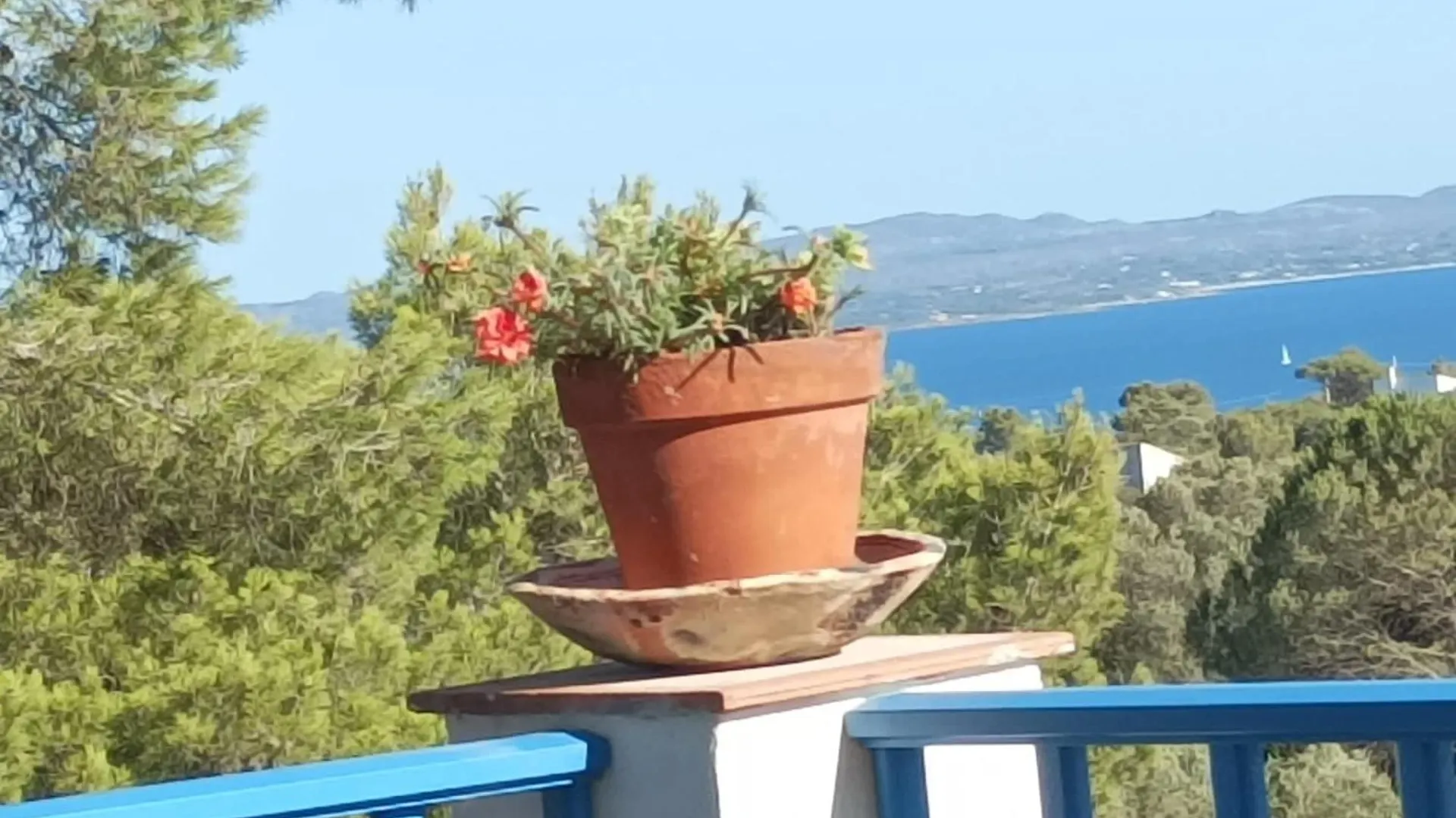 La Casa Dei Nonni Vila Carloforte  0*, Carloforte (Isola di San Pietro) Itália